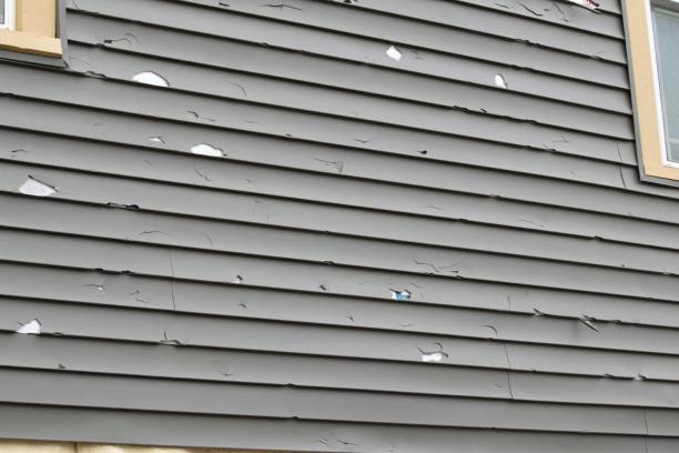 Custom Trim and Detailing for Siding in Minnetonka, MN